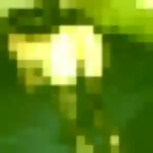 Photo privée de Azalee, 41 ans à Orgeval - rencontre sans lendemain