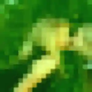 Benedicte de Ouangani, 37 ans - plan cul sans prise de tête