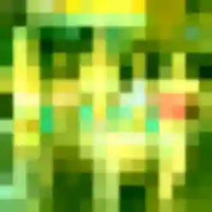 Giulia (41 ans) à Outreau cherche un plan cul aujourd'hui