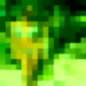 Jolie Jacqueline, 31 ans à Ozoir-la-Ferrière - découvrir son profil