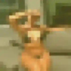 Capucine, 20 ans, cherche un plan cul à Paimpol