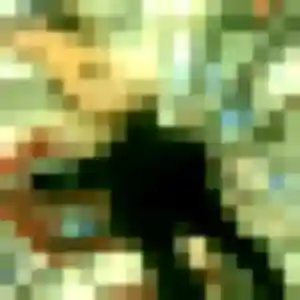 plan cul à Pamiers : photo de Barbara, 45 ans - accès libre