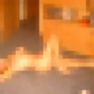 Photo de Delia à Panazol (37 ans) - plan cul discret