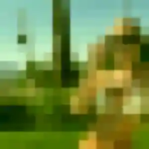 Isabella, 19 ans, en ligne à Panazol pour une rencontre coquine