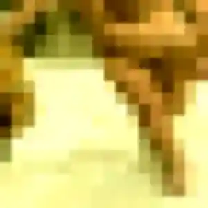 Jolie Harmony, 42 ans à Parempuyre - découvrir son profil