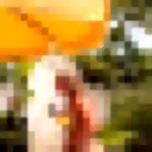 Flavie, 41 ans, cherche un plan cul à Parigné-l'Évêque