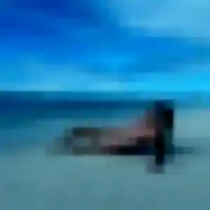 Siham (28 ans) à Pavilly propose un plan cul ce soir