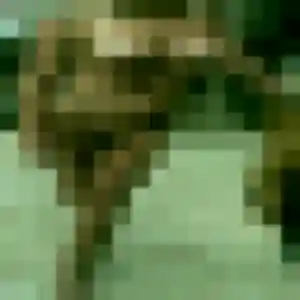 Photo privée de Yasmine, 39 ans à Pélissanne - plan discret