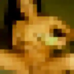 Profil de Eva à Penmarch (42 ans) - plan cul sans inscription