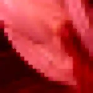 Rencontre Lisette, 32 ans à Penmarch gratuitement