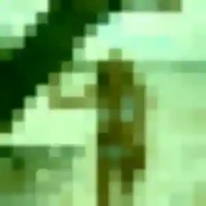 Bertille, femme de 19 ans propose plan cul à Pérenchies