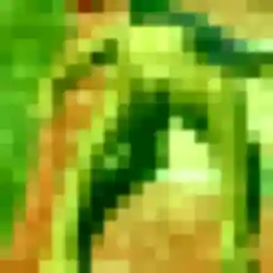 Rencontre Blandine, 44 ans à Pérenchies en t'inscrivant