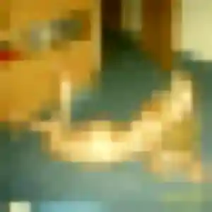 Severine de Pérenchies, 36 ans - plan cul en toute liberté