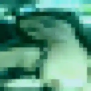 Laure, fille de 24 ans cherche plan cul à Péronne