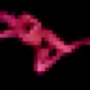 Samira (40 ans) à Perpignan cherche un plan cul rapidement