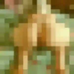 Profil de Isaure à Perros-Guirec (20 ans) - plan cul discret