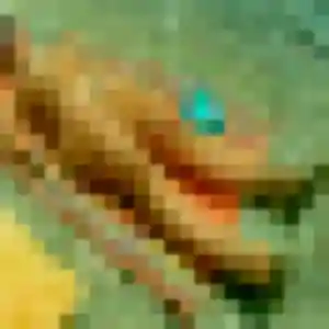 Juliette, 32 ans, dispo pour plan cul à Perros-Guirec