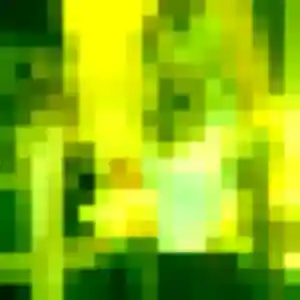 Apolline (21 ans) à Petit-Caux attend une rencontre ce soir