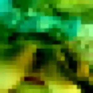 Yolande, 27 ans, connectée à Petite-Forêt pour une rencontre coquine