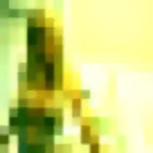 Zina, 40 ans, cherche un plan cul à Peypin