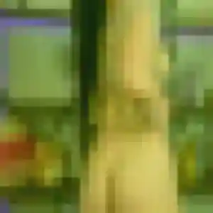 Rencontre Geraldine, 33 ans à Pignan gratuitement