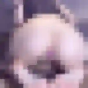 Photo sexy de Gladys, 24 ans à Piolenc - rencontre coquine