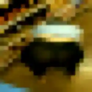 Contacte Corinne, 19 ans à Plérin en privé