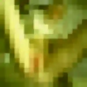 Eleonore (30 ans) à Plescop cherche une rencontre aujourd'hui