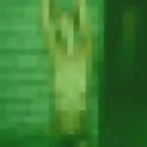 Celia de Pleurtuit, 24 ans - plan cul sans lendemain