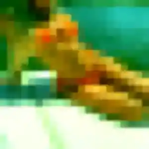 Marie-Jose, 40 ans, en ligne à Pleurtuit pour un plan cul