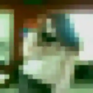 Sibylle de Ploeren, 31 ans - plan cul sans lendemain