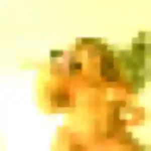 Diane (33 ans) à Ploërmel propose une rencontre aujourd'hui