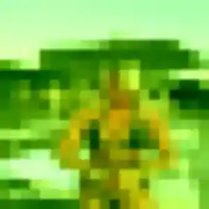 Jolie Erika, 37 ans à Plougastel-Daoulas - voir sa photo