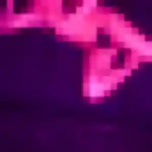 Rencontre Vinciane, 21 ans à Plouguerneau en t'inscrivant