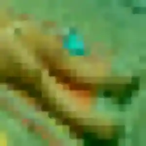 Photo perso de Caroline, 24 ans à Pont-l'Abbé - rencontre sans lendemain