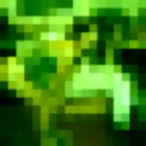 Louna, 35 ans, veut un plan cul à Port-Jérôme-sur-Seine