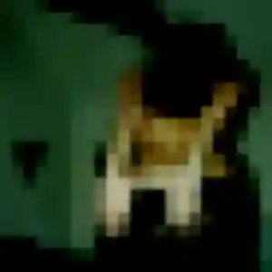 Sexy Svetlana, 39 ans à Port-Jérôme-sur-Seine - découvrir son profil