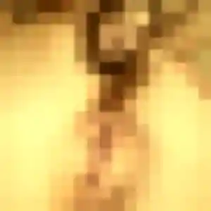 Jolie Debora, 29 ans à Port-Saint-Louis-du-Rhône - voir sa photo