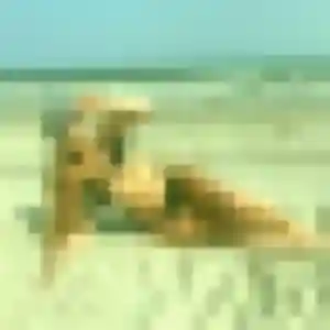 Profil de Juliette à Portet-sur-Garonne (23 ans) - plan cul gratuit