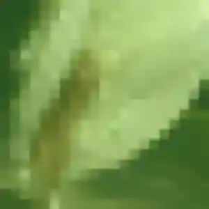 Marie-Jose de Porto-Vecchio, 43 ans - plan cul sans lendemain