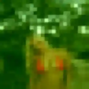 Profil de Ophelie à Porto-Vecchio (22 ans) - plan cul anonyme