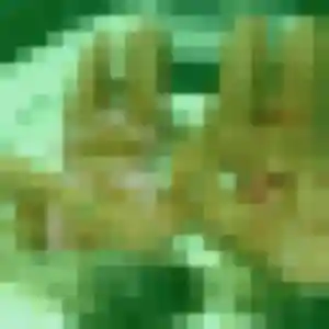 Clarisse, 31 ans, dispo pour plan cul à Pourrières