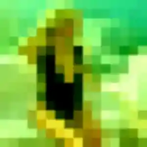 Coralie (36 ans) à Poussan propose une rencontre ce soir