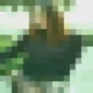 Helena (19 ans) à Privas attend une rencontre aujourd'hui