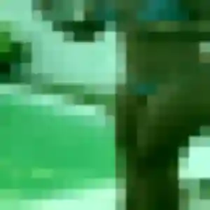 Photo exclusive de Fatima, 33 ans à Publier - rencontre sans lendemain