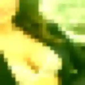 Belle Marion, 27 ans à Publier - la contacter