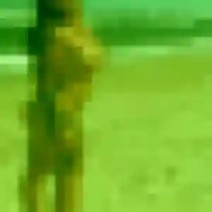 Profil de Marilou à Puget-sur-Argens (44 ans) - plan cul sans inscription