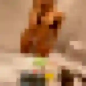 Jean-Marie, 22 ans, veut un plan cul à Quesnoy-sur-Deûle