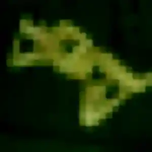 Belle Edith, 23 ans à Quimper - voir sa photo