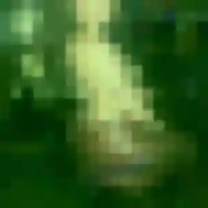 Contacte Claire, 19 ans à Raon-l'Étape en privé